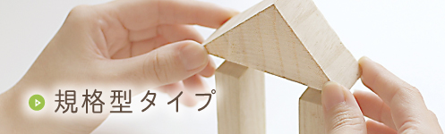 規格型タイプ